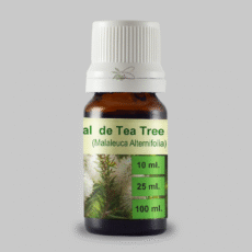 Aceite esencial de Árbol de té (Tea tree)